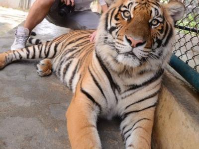 Fotos unserer Gäste | Chiang Mai Trekking | Das beste Trekking in Chiang Mai mit Piroon Nantaya